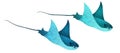 Manta ray fishes, marine animals, sea creatures vector illustration Royalty Free Stock Photo