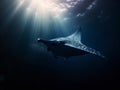 Manta Ray\'s Flight: Graceful Glide in the Deep Blue