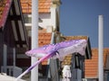 manta Ray shape kite flying Royalty Free Stock Photo