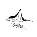 Manta Ray. Manta Ray simple black and white line art vector logo Royalty Free Stock Photo