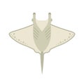 Manta Ray or Stingray Vector Illustration Royalty Free Stock Photo