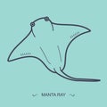 manta ray. Vector illustration decorative design