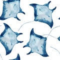 Manta ray watercolor seamless pattern isolated on white. High quality hand-drawn monochromatic illustration for Royalty Free Stock Photo