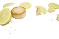 Mantecado, polvoron on a white isolated background. Lemon cookies, lemon Royalty Free Stock Photo