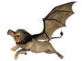 Manticore Royalty Free Stock Photo