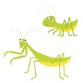 Mantis, grasshopper icon set. Cute cartoon kawaii funny character. Green insect isolated. Praying mantid. Big eyes. Smiling face. Royalty Free Stock Photo