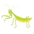 Mantis icon. Cute cartoon kawaii funny character. Green insect isolated. Praying mantid. Big eyes. Smiling face. Flat design. Baby