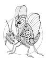 Mantis insect coloring book vector illustration