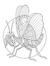 Mantis insect coloring book vector illustration