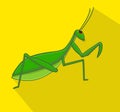 Mantis Insect Vector Royalty Free Stock Photo