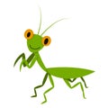 Mantis, Mantodea grasshopper in flat style, vector