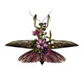 Mantis with open wings decorated with flowers and leaves symmetrically Royalty Free Stock Photo