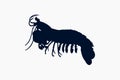 Mantis Shrimp Silhouette Vector Logo Illustration For Mantis Shrimp Icon