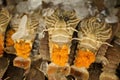 Mantis shrimp - squilla mantis - with roe, fresh seafood.