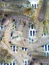 Mantis shrimp in the water tank of a seafood restaurant.