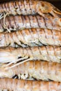 Mantis shrimps Oratosquilla oratoria food ingredient cooking Royalty Free Stock Photo