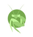 Mantis symbol