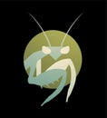 Mantis symbol