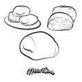 Mantou food sketch separated on white