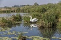 Mantua, Italy, Mincio river