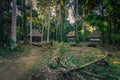 Manu National Park, Peru - August 07, 2017: Jungle lodges of Cocha Otorongo in the Amazon rainforest of Manu National Park, Peru Royalty Free Stock Photo