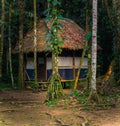 Manu National Park, Peru - August 08, 2017: Lodges of Cocha Otorongo in the Amazon rainforest of Manu National Park, Peru Royalty Free Stock Photo