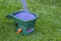 Manual fertilizing of the lawn in back yard in spring time. Close up Royalty Free Stock Photo