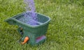 Manual fertilizing of the lawn in back yard in spring time. Close up Royalty Free Stock Photo