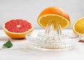 Manual Glass Citrus Juicer and Citrus Fruit