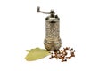 Manual grinder, clove spice and Bay leaf isolated on white background Royalty Free Stock Photo