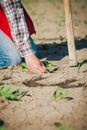 Manual labor in agriculture Royalty Free Stock Photo