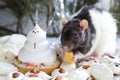 Manual mouse eating cheese on the holiday table Royalty Free Stock Photo