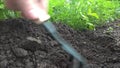 Manual rake bed with parsley loosens and bores