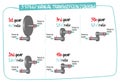 Manual transmission diagram