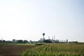 Manufacturing factory in corn plantation