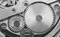 Manufacturing or industrial background. Concept Teamwork or idea Technology. Gears and cogs in clockwork. Macro. Black and white Royalty Free Stock Photo