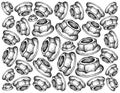 Hand Drawn Sketch of Flange Nuts Background