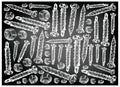 Sketch Background of Screws and Nuts on Chalkboard Royalty Free Stock Photo