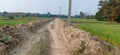 Manufacturing of soil road Wheat and grass crop land in madhubani bihar India