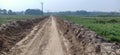 Manufacturing of soil road Wheat and grass crop land in madhubani bihar India Royalty Free Stock Photo