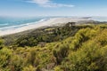 Manuka bush at Farewell Spit, Golden Bay, New Zealand