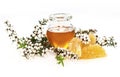 Manuka honey Royalty Free Stock Photo