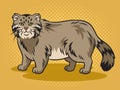 manul pallas cat pop art raster illustration