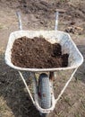 Manure in a cart in a vegetable garden Royalty Free Stock Photo