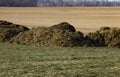 manure from cows Royalty Free Stock Photo