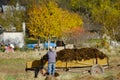 Manure Fertilizer