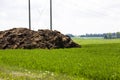 Manure for fertilizer