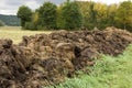 Manure heap Royalty Free Stock Photo