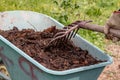 Manure: organic bio natural fertilizer in a wheel barrow with pitchfork. Farm Life