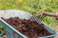 Manure: organic bio natural fertilizer in a wheel barrow with pitchfork. Farm Life